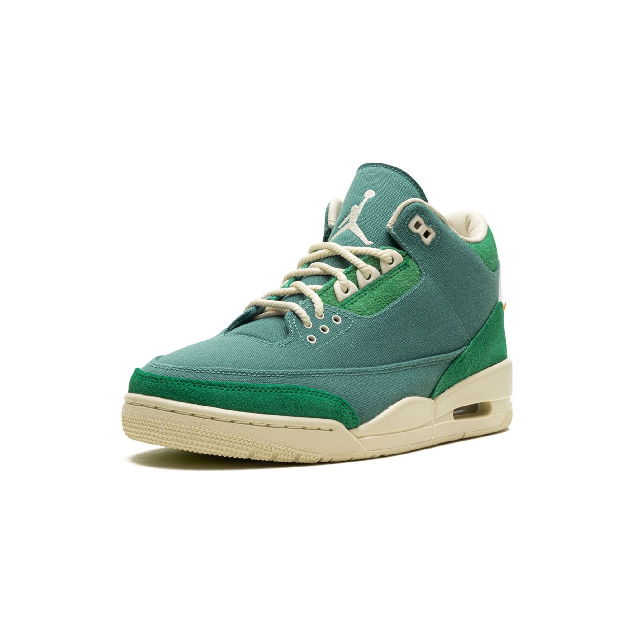 Air Jordan 3 - Nina Chanel Abney Bicoasta